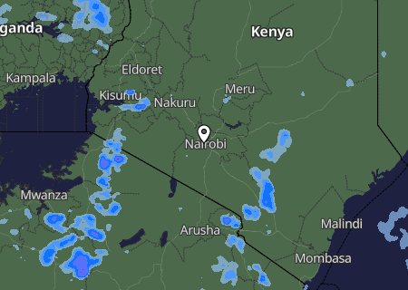 Niederschlagsprognose
