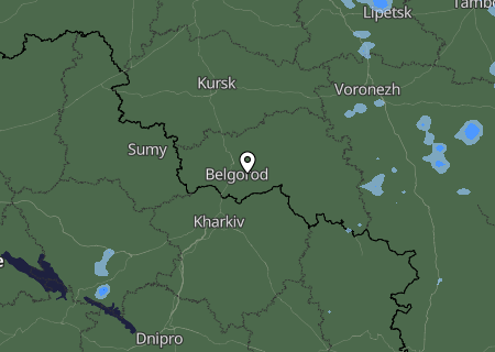 Niederschlagsprognose