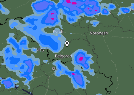 Niederschlagsprognose