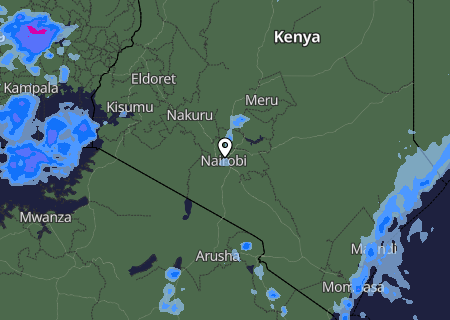 Niederschlagsprognose