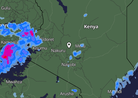 Niederschlagsprognose