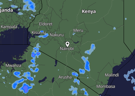 Niederschlagsprognose