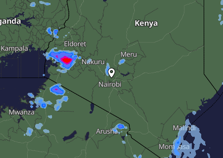 Niederschlagsprognose