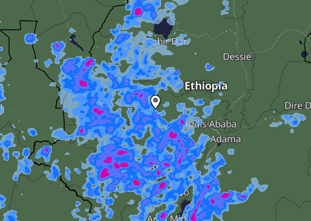 Niederschlagsprognose