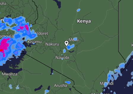 Niederschlagsprognose