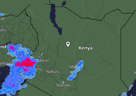 Niederschlagsprognose