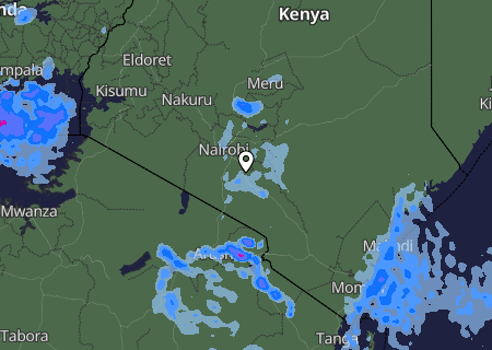 Niederschlagsprognose