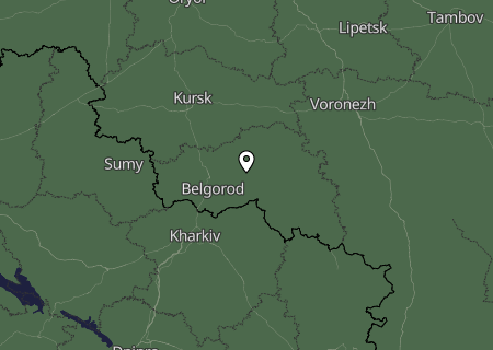 Niederschlagsprognose