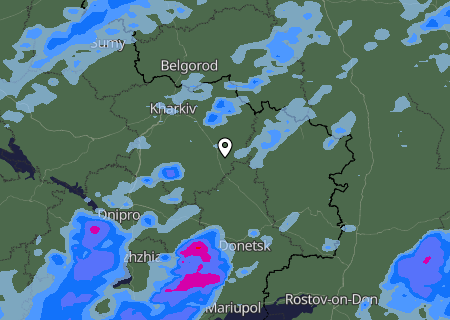 Niederschlagsprognose
