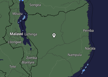 Niederschlagsprognose