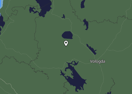 Niederschlagsprognose