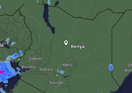 Niederschlagsprognose