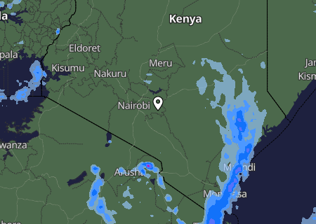 Niederschlagsprognose