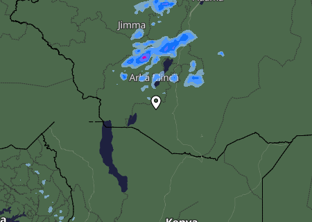 Niederschlagsprognose