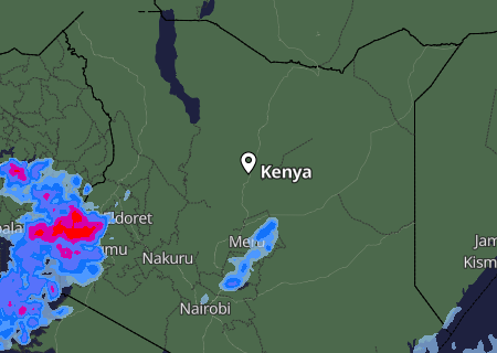 Niederschlagsprognose