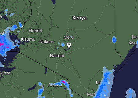 Niederschlagsprognose