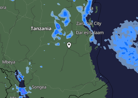 Niederschlagsprognose