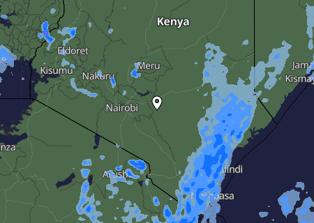 Niederschlagsprognose