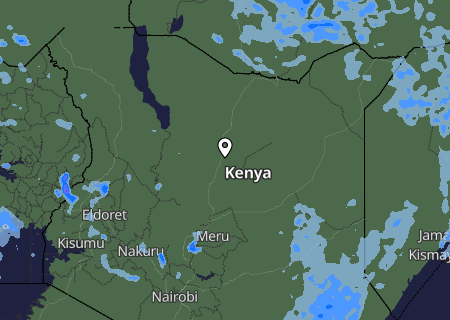 Niederschlagsprognose