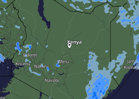Niederschlagsprognose