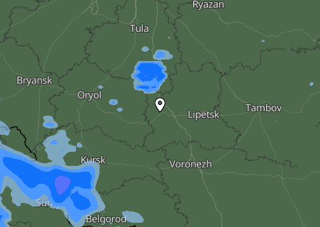 Niederschlagsprognose
