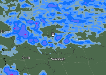 Niederschlagsprognose