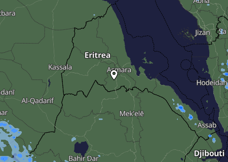 Niederschlagsprognose
