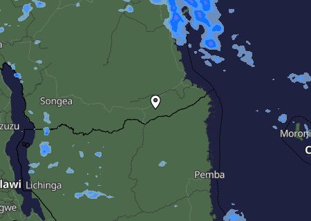 Niederschlagsprognose