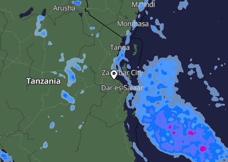 Niederschlagsprognose