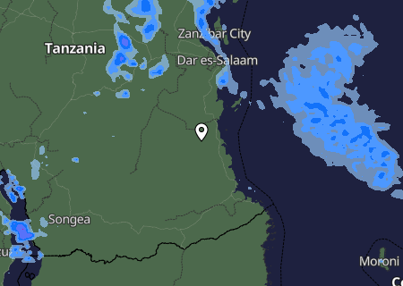 Niederschlagsprognose