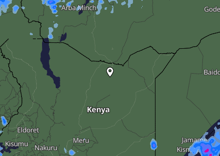 Niederschlagsprognose