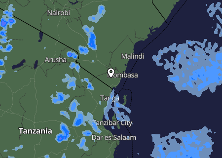 Niederschlagsprognose