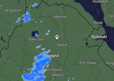 Niederschlagsprognose