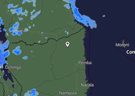 Niederschlagsprognose