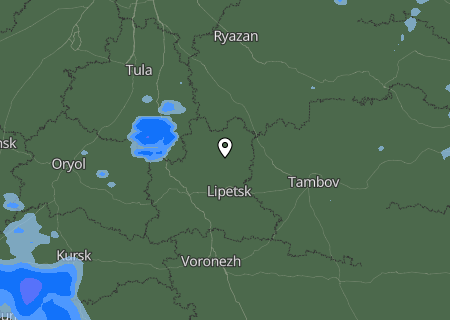 Niederschlagsprognose