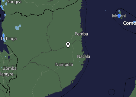 Niederschlagsprognose