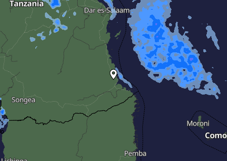 Niederschlagsprognose