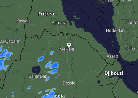 Niederschlagsprognose