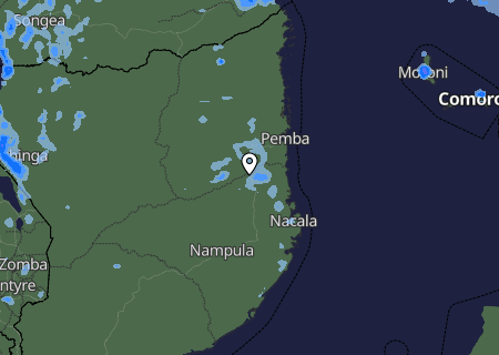 Niederschlagsprognose