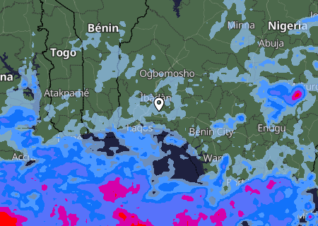 Niederschlagsprognose