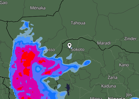 Niederschlagsprognose