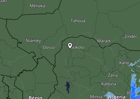 Niederschlagsprognose