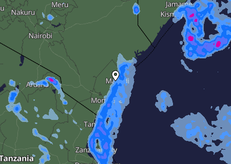Niederschlagsprognose