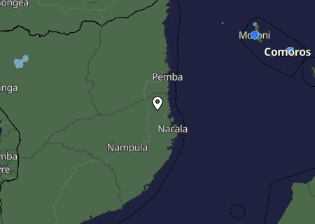 Niederschlagsprognose