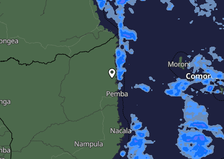 Niederschlagsprognose
