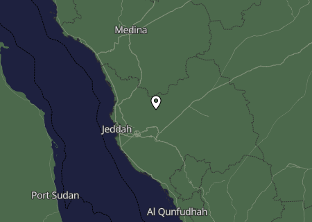 Niederschlagsprognose