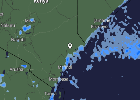 Niederschlagsprognose