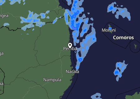 Niederschlagsprognose
