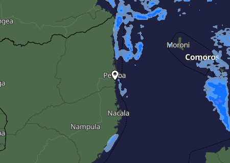 Niederschlagsprognose