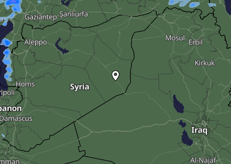 Niederschlagsprognose